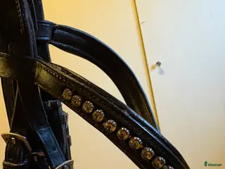 Träns hästutrustning Rundsytt kandar storlek X-Full från Lippo - Annons 1