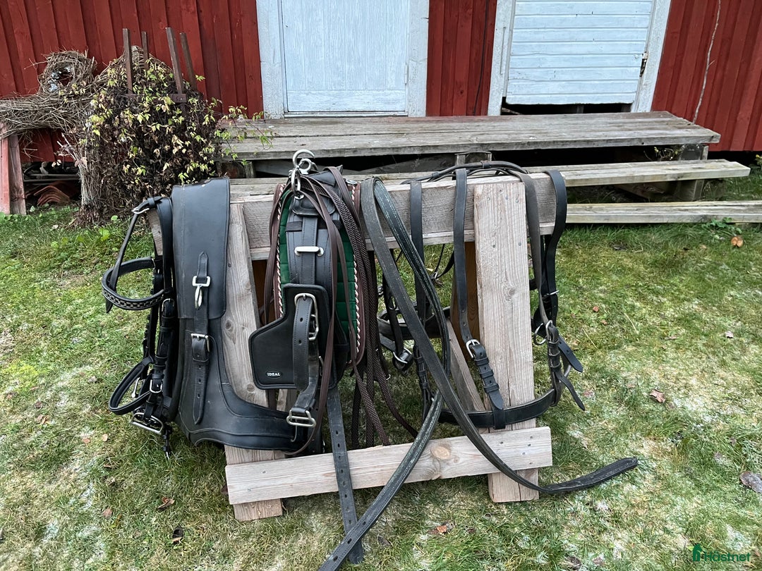 Körselar körning till salu: Maratonsele med fransk brösta storlek Shire i Västra Ämtervik - Annons 8