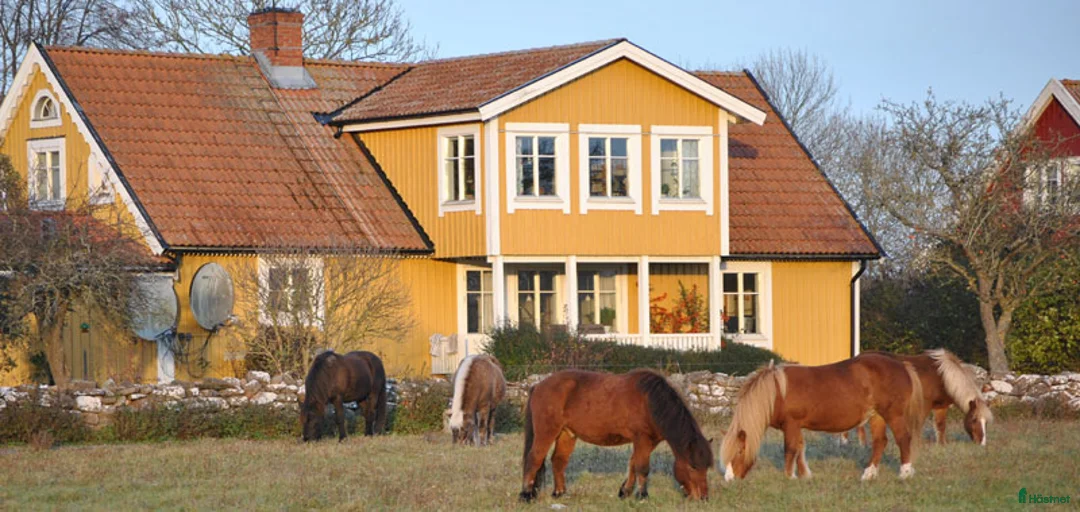 Galleribild {{count}}