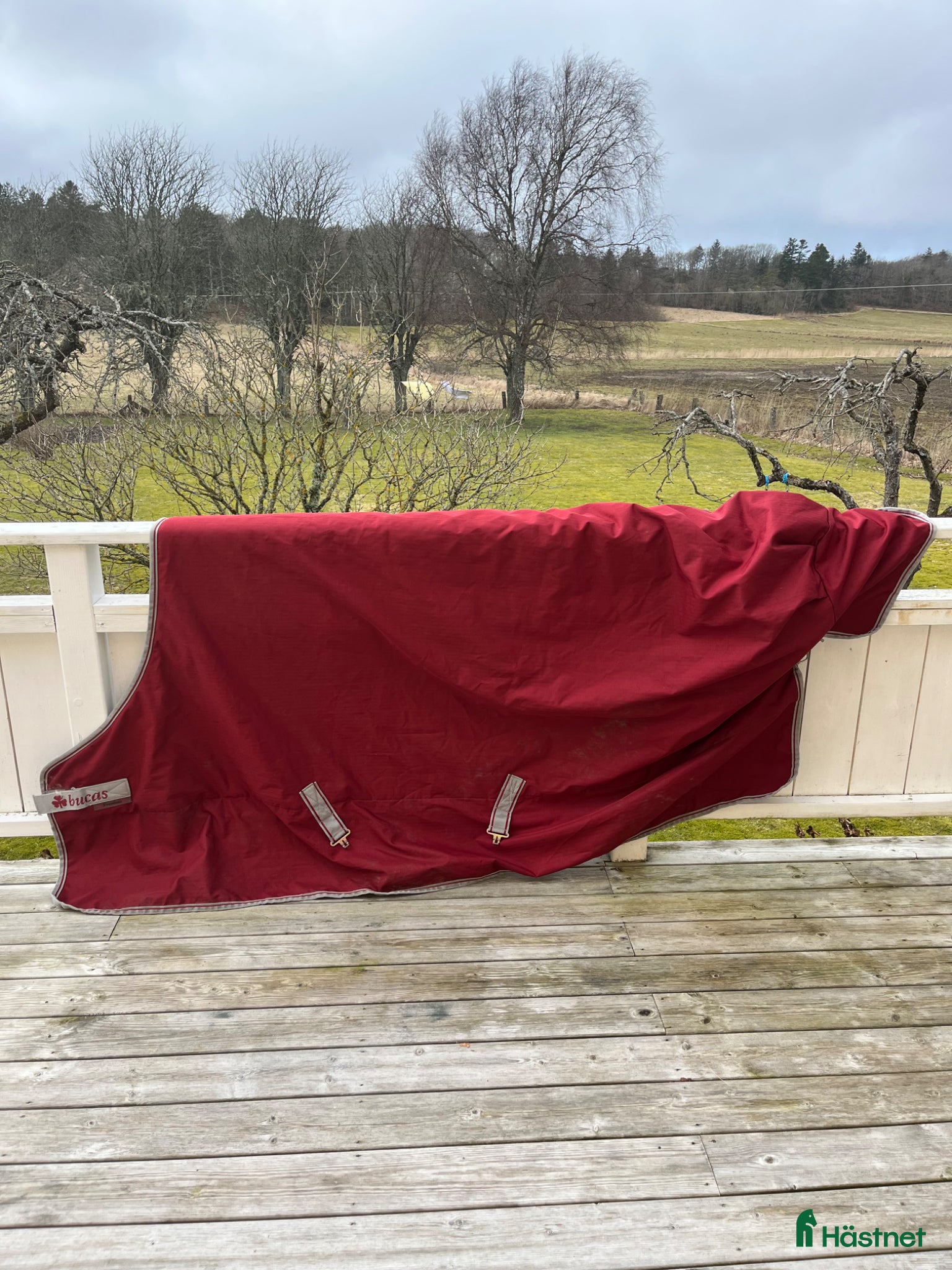 Täcken hästutrustning Fint Bucas Turnout 300 gr - Annons 8