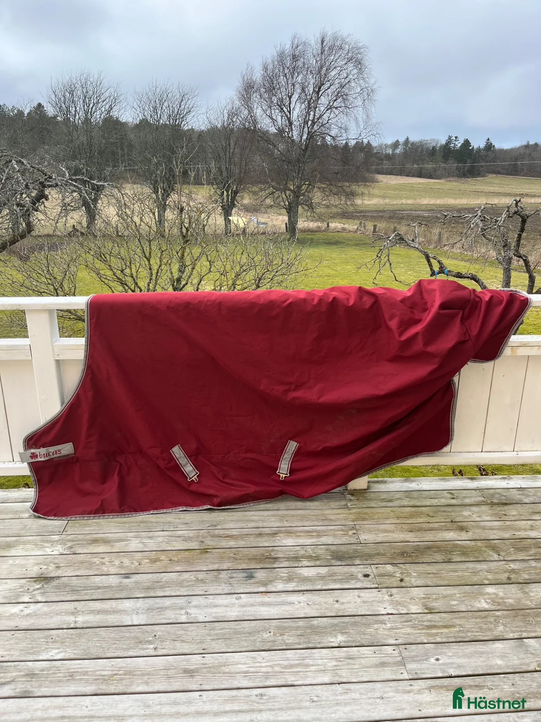 Täcken hästutrustning till salu: Fint Bucas Turnout 300 gr - Annons 1