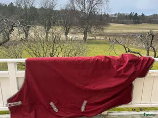 Täcken hästutrustning Fint Bucas Turnout 300 gr - Annons 8