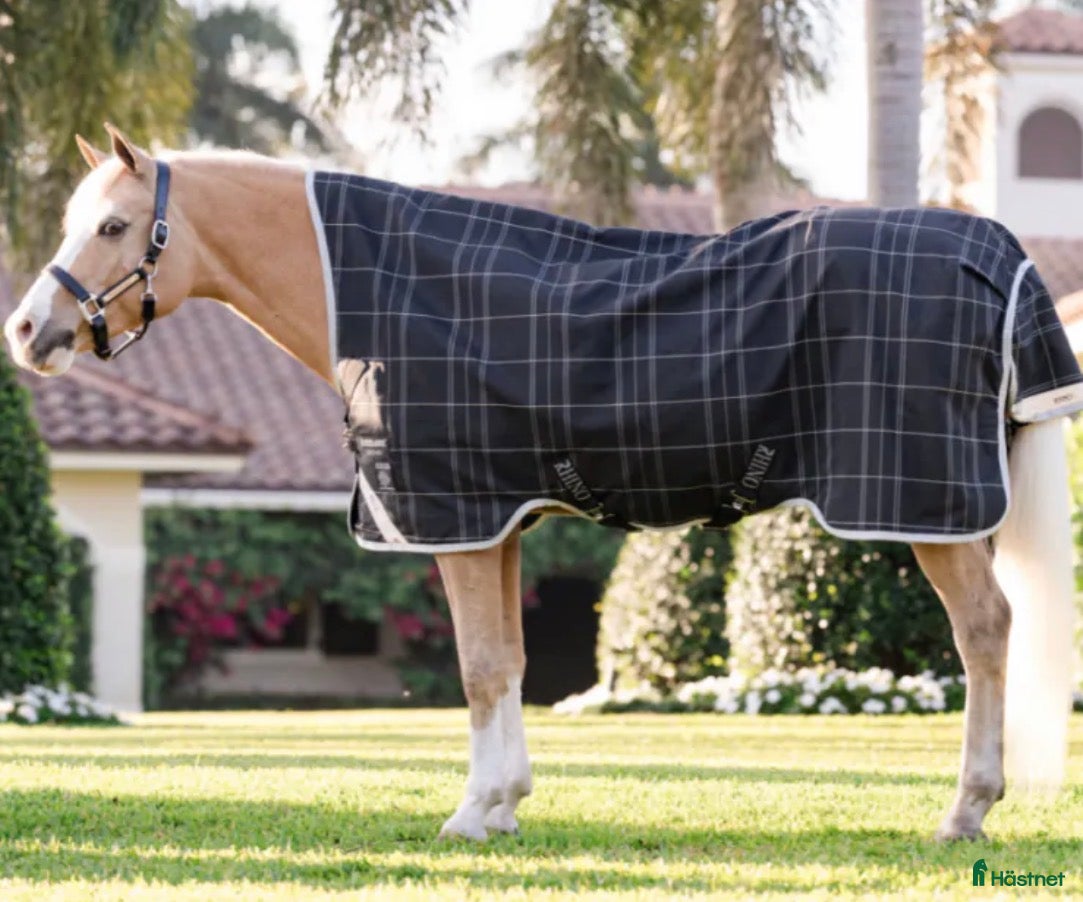 Täcken hästutrustning till salu: Rhino Wug Pony Turnout 100G från Horseware i Stenhamra - Annons 3