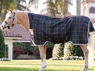 Täcken hästutrustning till salu: Rhino Wug Pony Turnout 100G från Horseware i Stenhamra - Annons 11