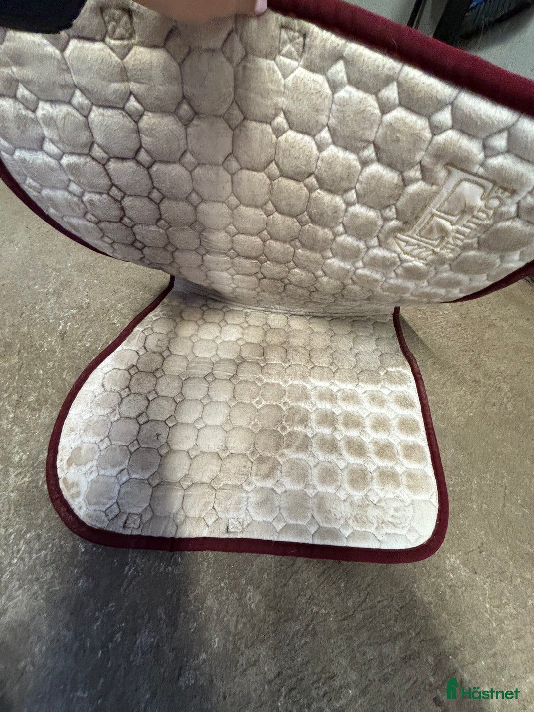 Schabrak & Vojlockar hästutrustning till salu: Equiline sett  i Vinninga - Annons 2