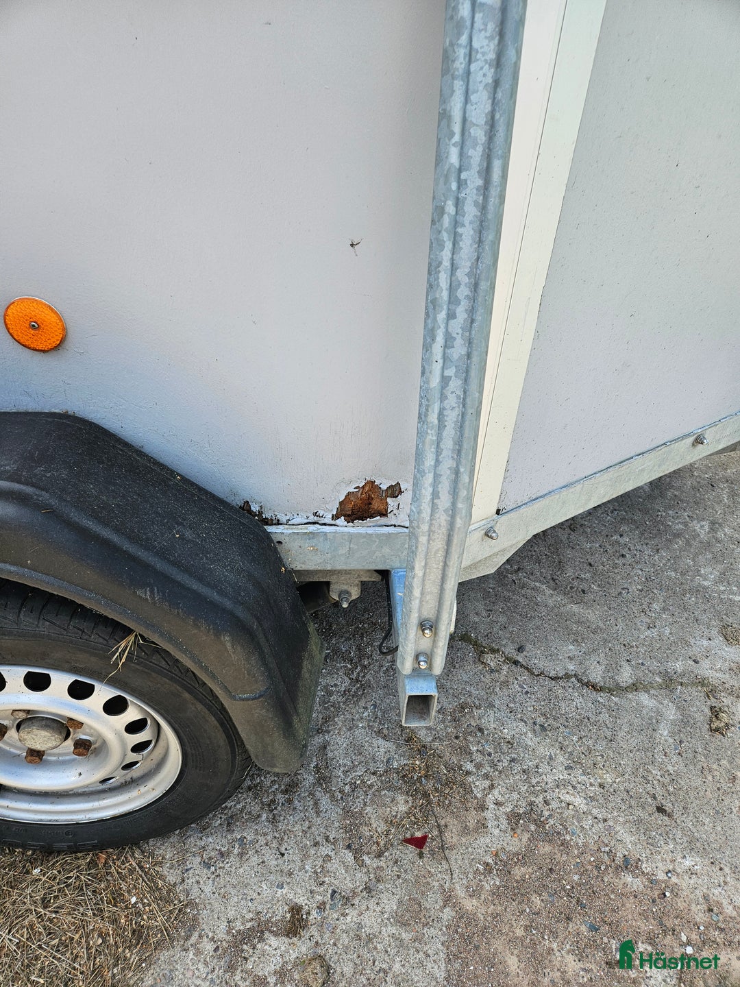 Hästtransporter  fordon & transport till salu: Henra Caliber, alugolv i Nybro - Annons 7