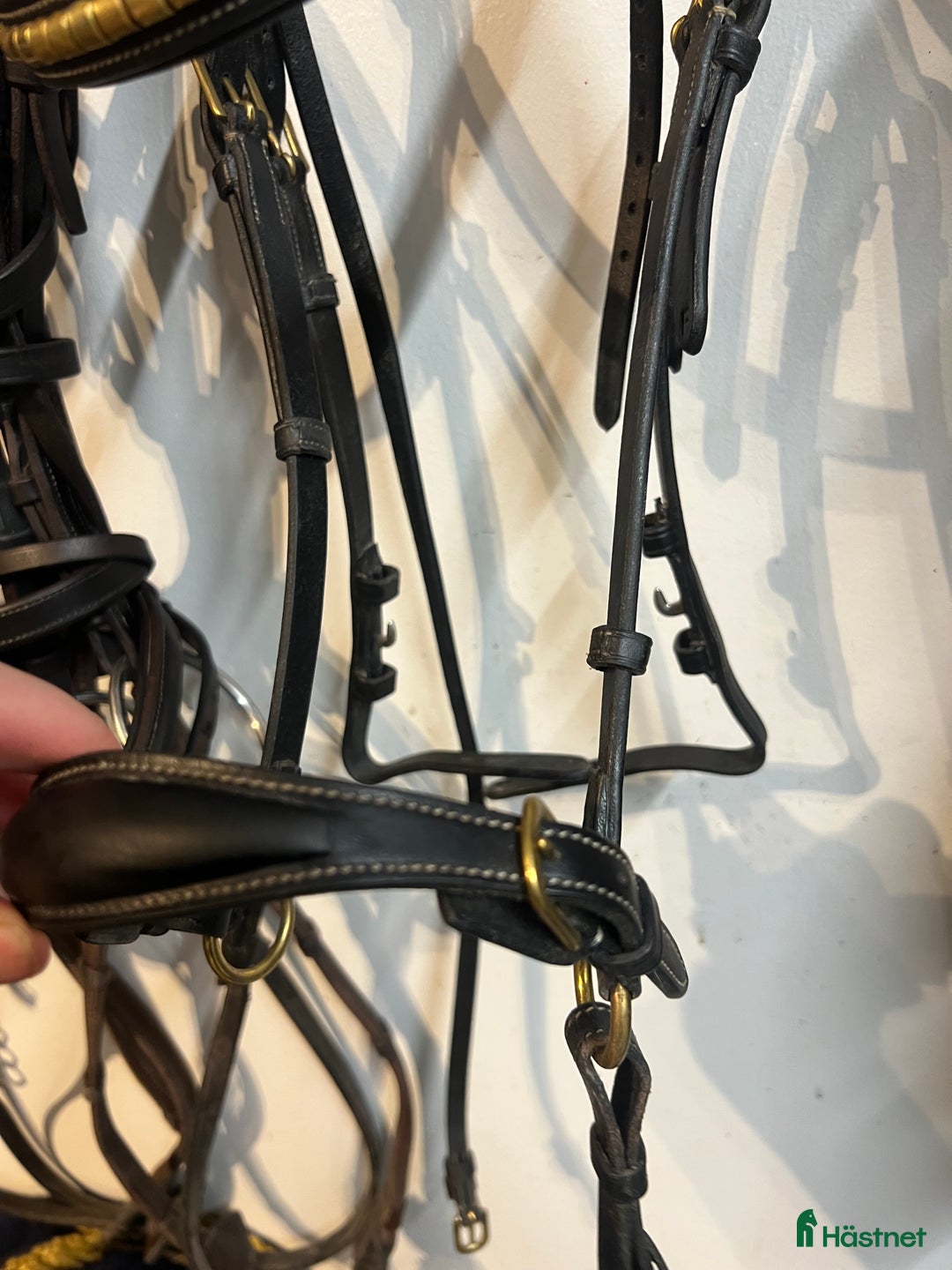 Träns hästutrustning till salu: Dyonträns, tyglar och nosgrimma. i Uppsala - Annons 4