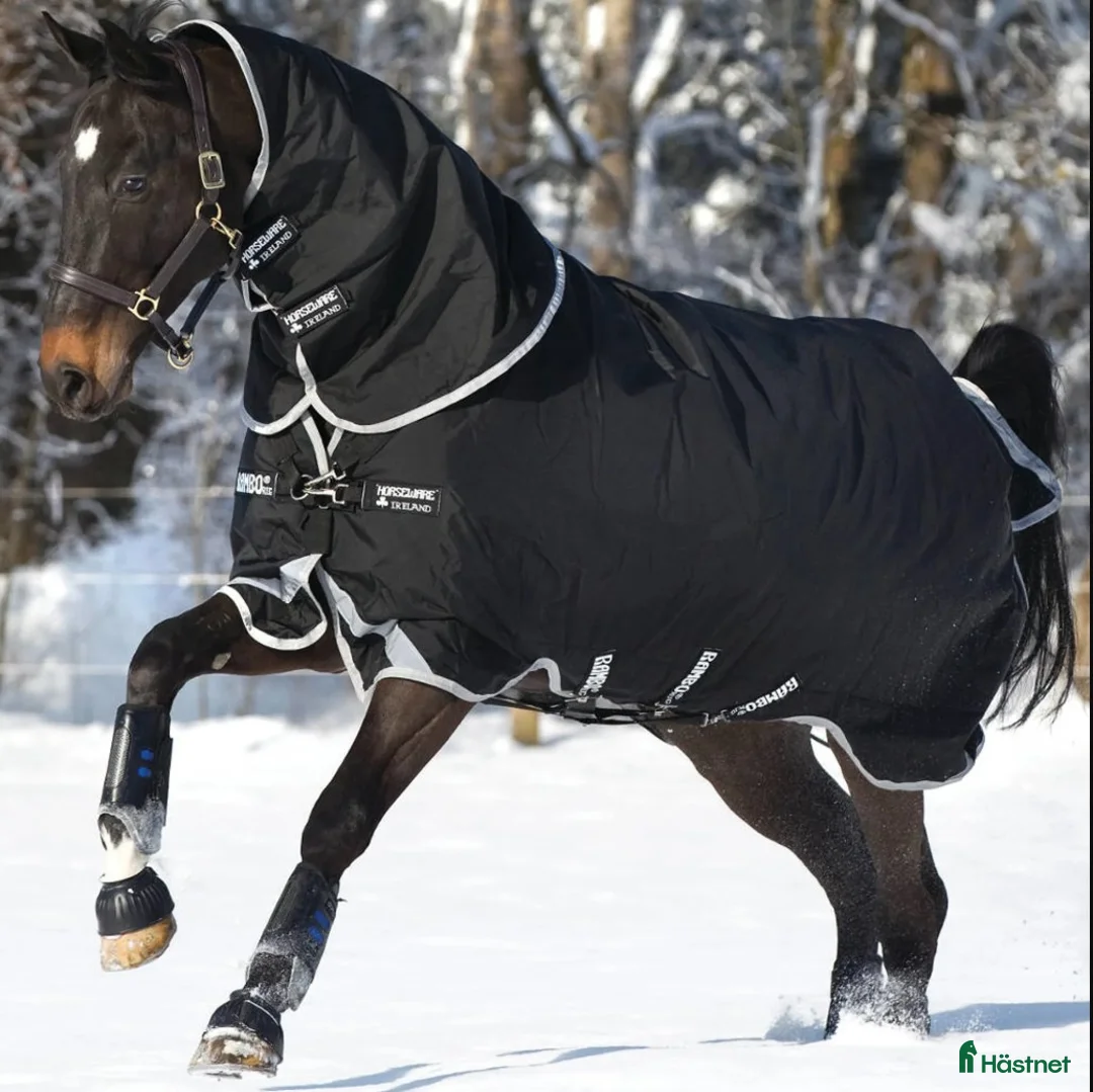 Täcken hästutrustning till salu: Horseware Rambo supreme TO Vari - layer 250 gr 155 i Vinslöv - Annons 1