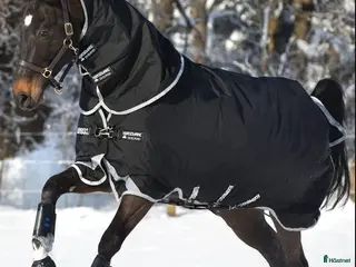 Täcken hästutrustning Horseware Rambo supreme TO Vari - layer 250 gr 155 i Vinslöv - Annons 1