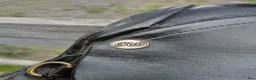 Sadlar hästutrustning till salu: Läder sadel  - Annons 4
