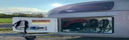 Hästtransporter  fordon & transport till salu: Böckmann Comfort - 16 - Annons 3