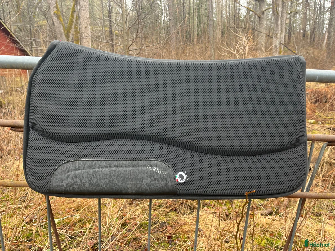 Sadeltillbehör hästutrustning till salu: Westernpad Burioni - Annons 1