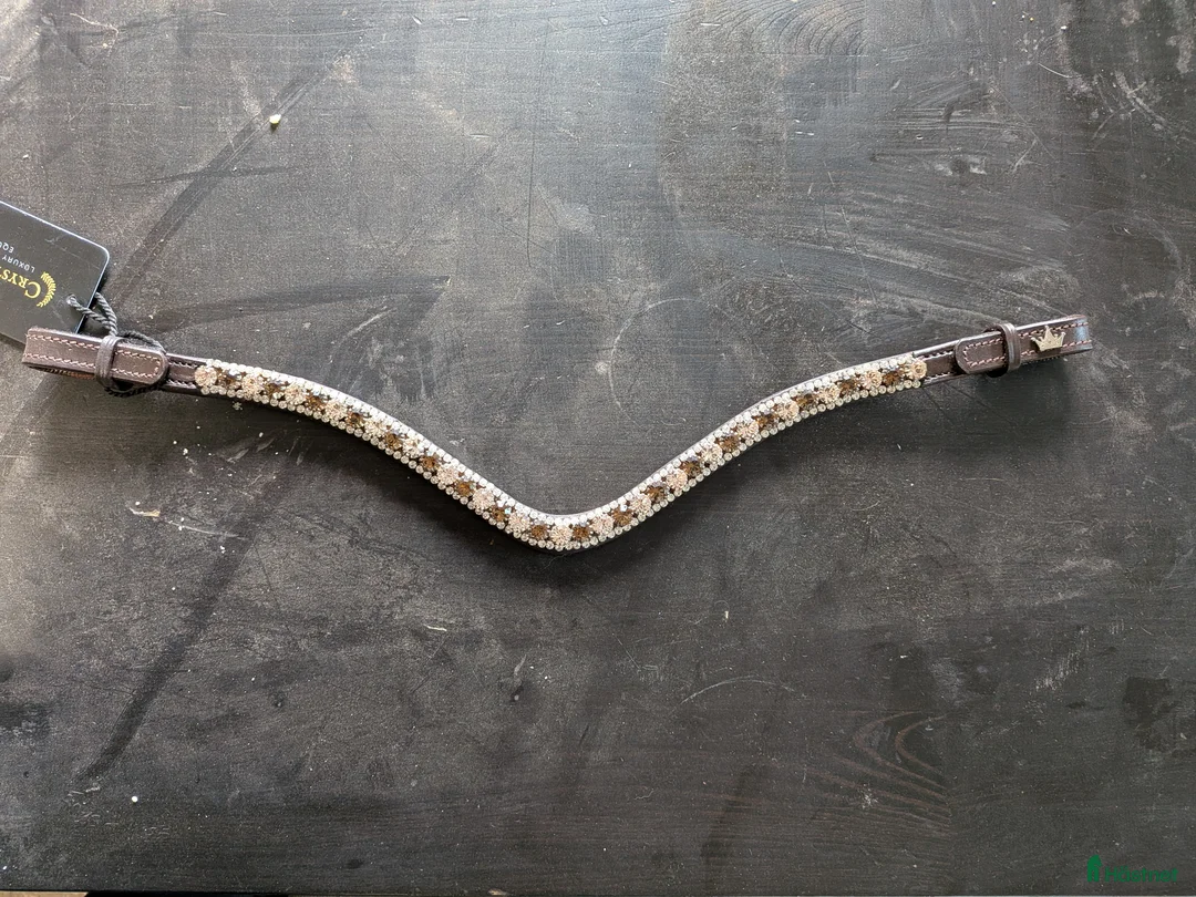 Övrig Hästutrustning hästutrustning till salu: Crystal Crown pannband i Västerås - Annons 1