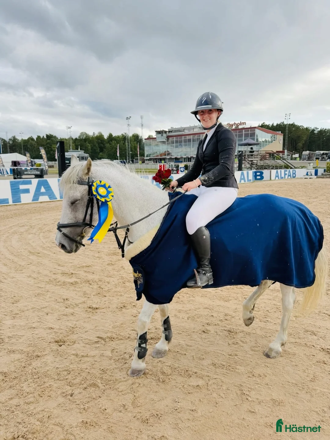 Hoppning hästar till salu: Tävlingsponny med fantastisk inställning i Sundsvall - Annons 1