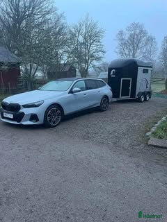 Hästtransporter  fordon & transport till salu: Cheval Liberté Gold 3 med hingstgaller - Annons 9