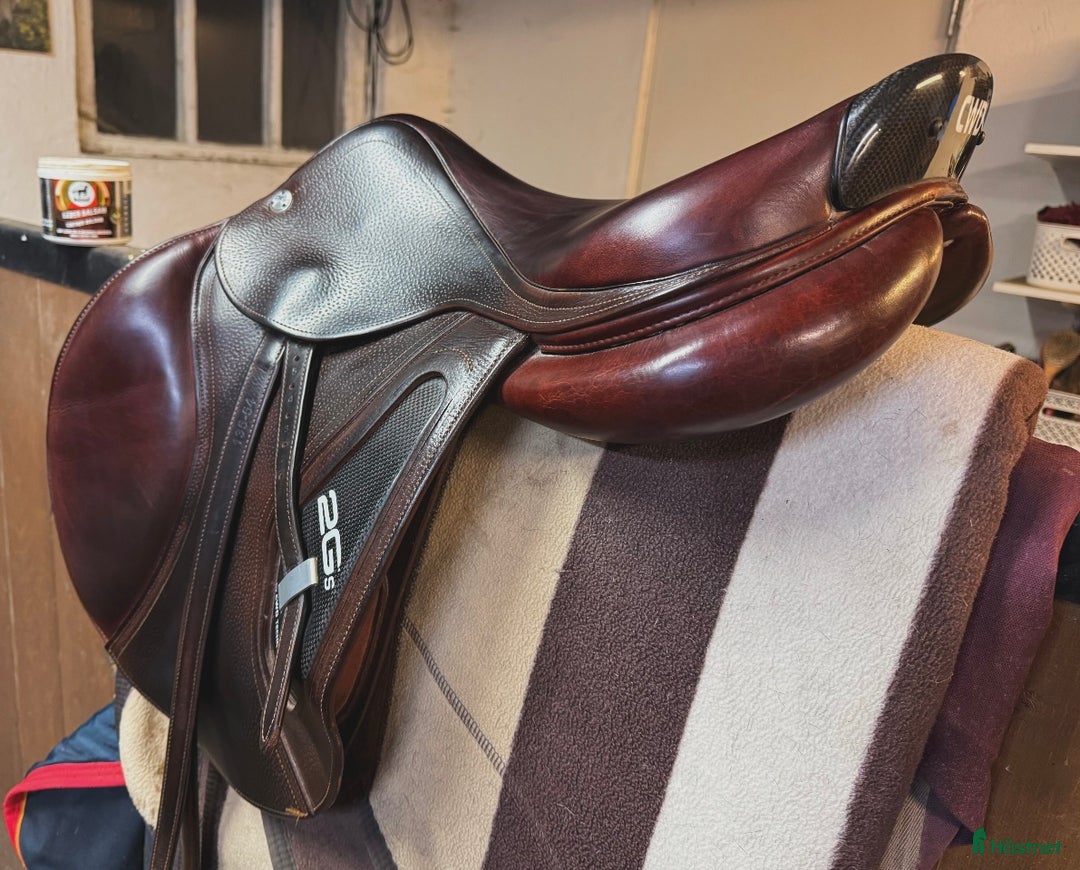 Sadlar hästutrustning till salu: Cwd 2Gs i Sölvesborg - Annons 6