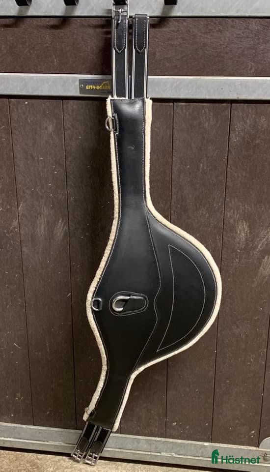 Sadeltillbehör hästutrustning till salu: Magplatta i Olofstorp - Annons 2