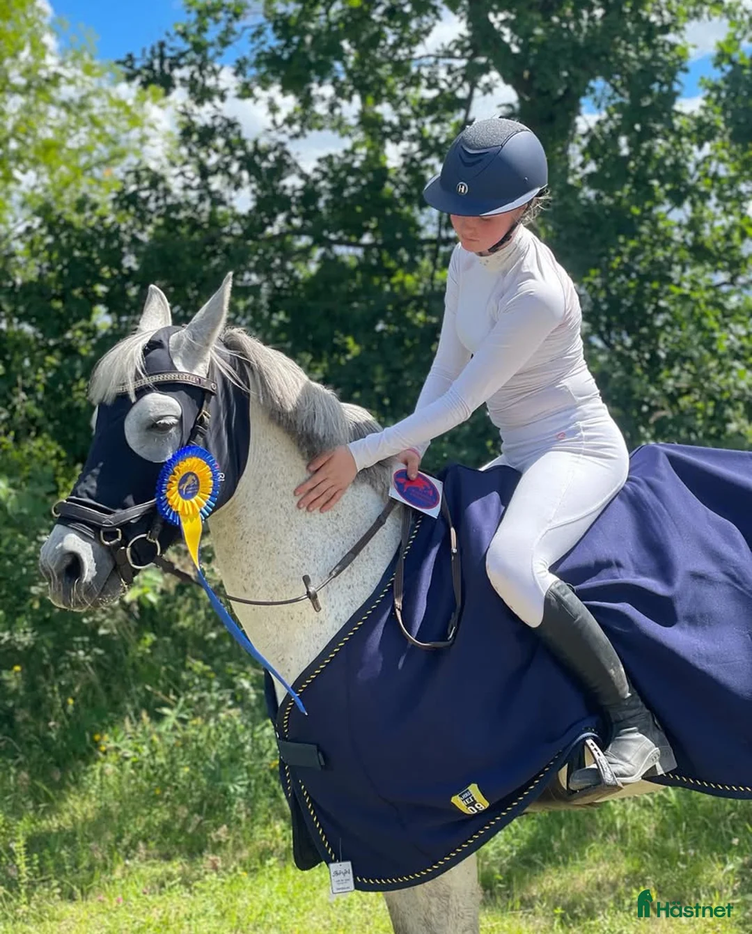 Övrigt hästar till salu: Våran lilla ögonsten i Myresjö - Annons 3