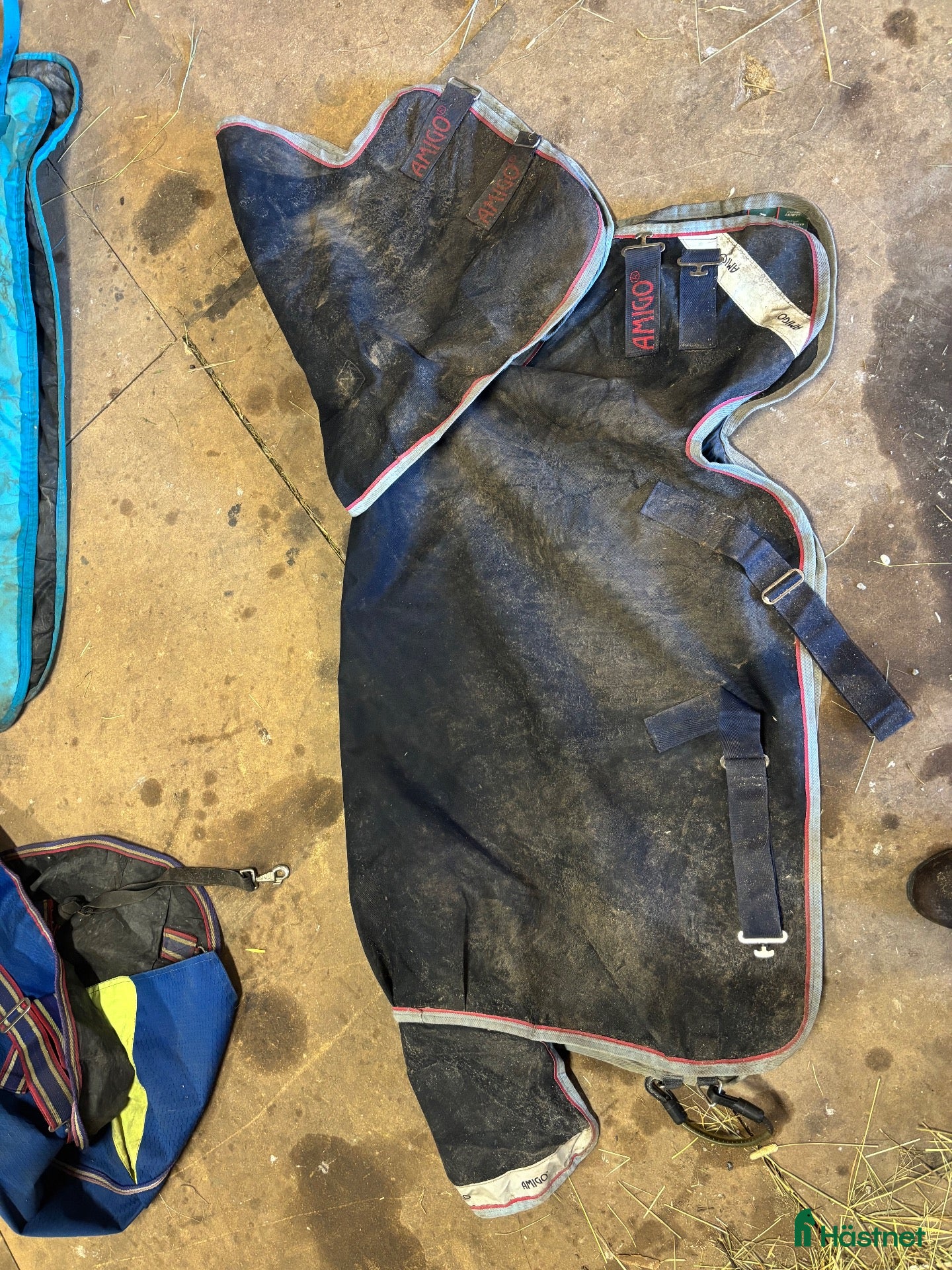 Täcken hästutrustning Amigo Bravo 12 regntäcke, 80 cm - Annons 7