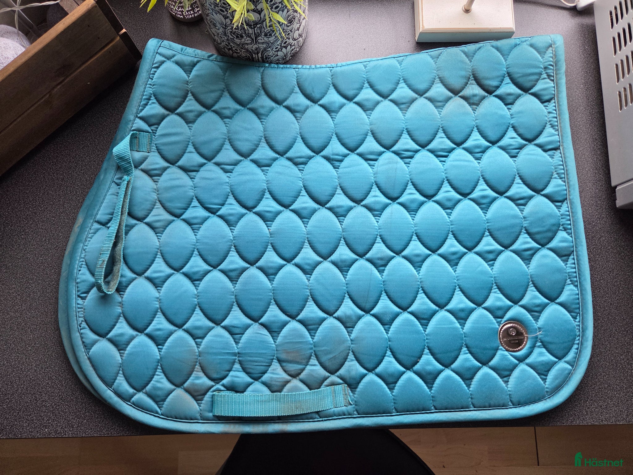 Schabrak & Vojlockar hästutrustning Hoppschabrak  - Annons 13