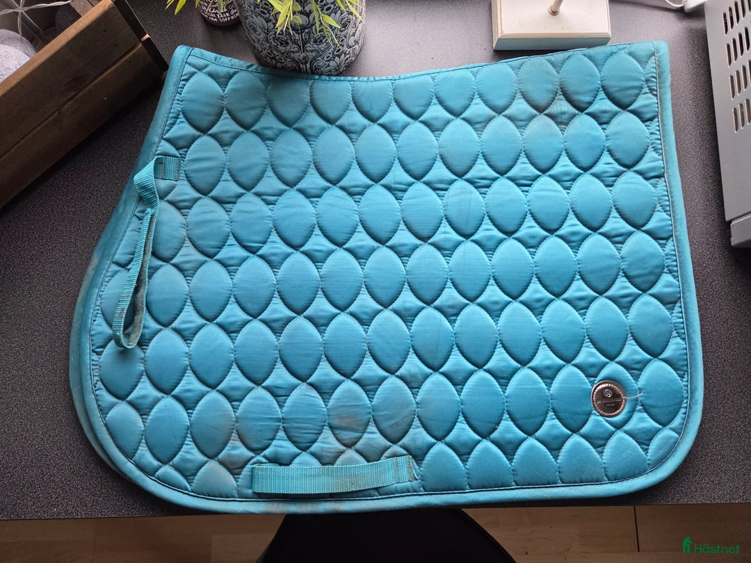 Schabrak & Vojlockar hästutrustning till salu: Hoppschabrak  i Ulrika - Annons 1