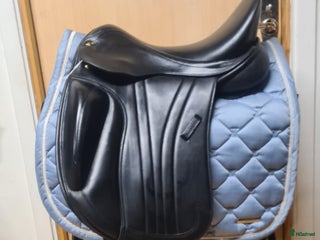 Sadlar hästutrustning till salu: Lippo Aurora i Hamneda - Annons 2