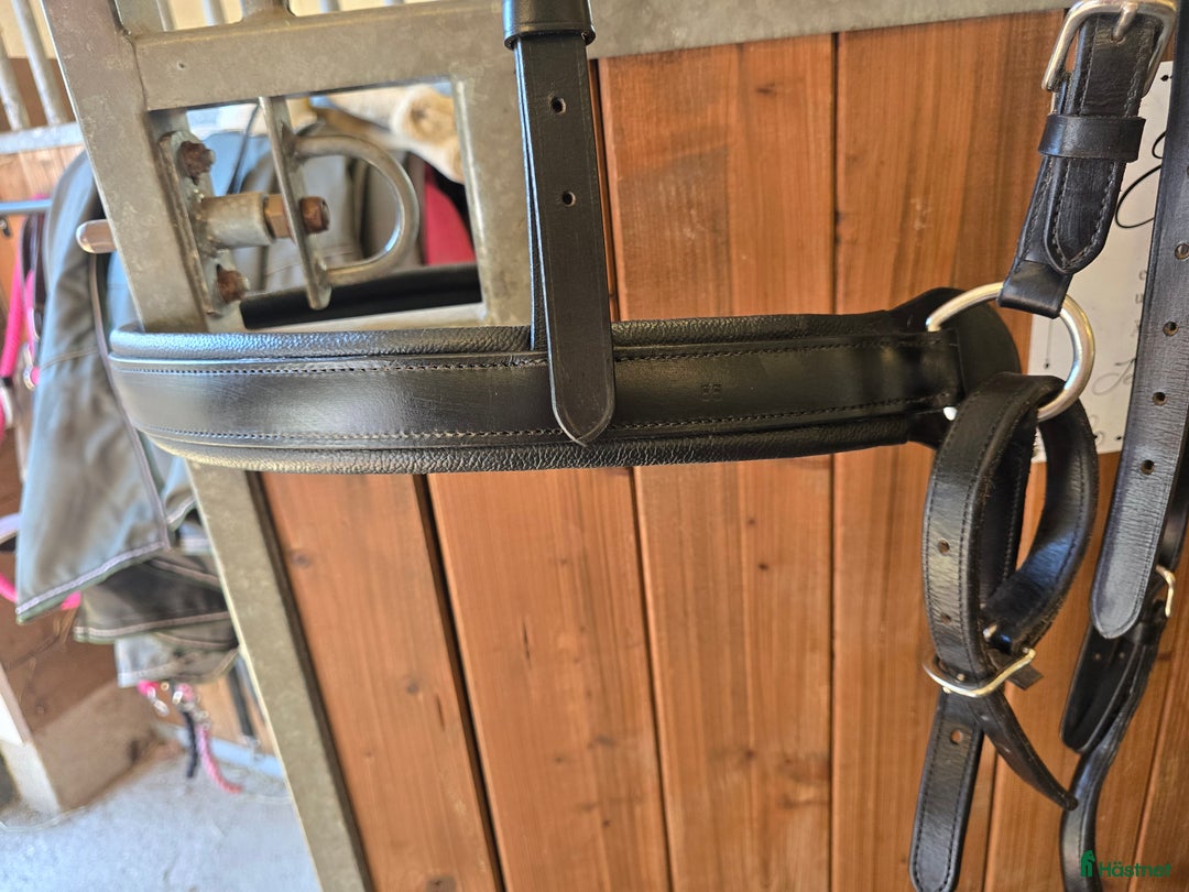 Körselar körning till salu: Bröstsele i Månsarp - Annons 2