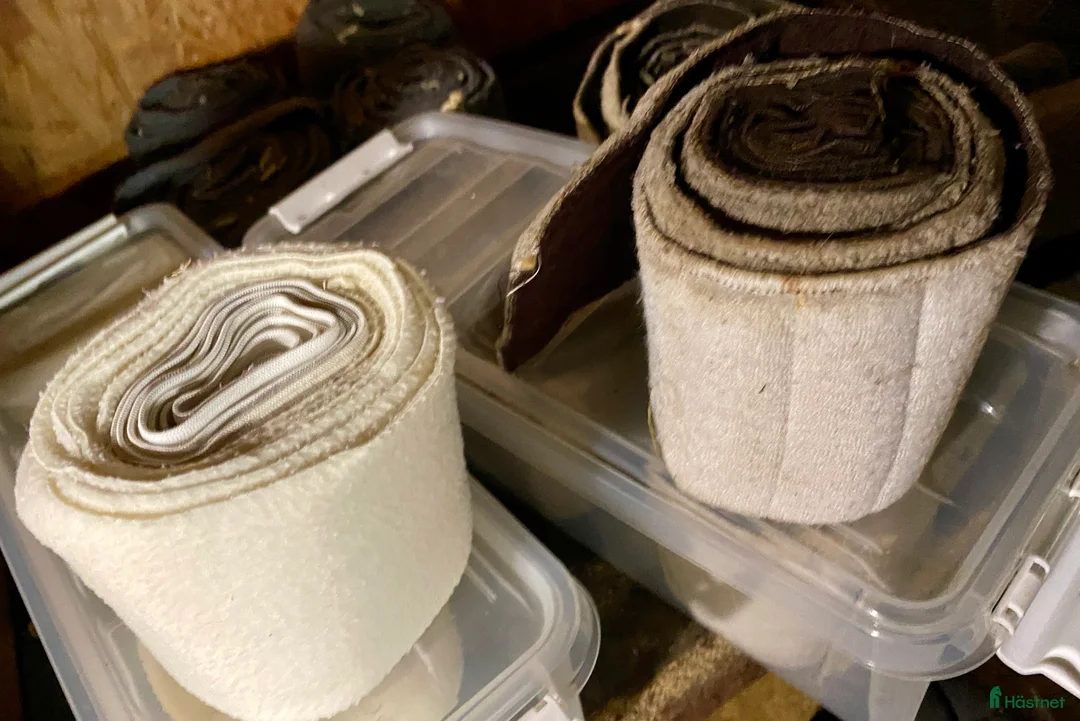 Övrig Hästutrustning hästutrustning till salu: Hästsaker i Halmstad - Annons 3