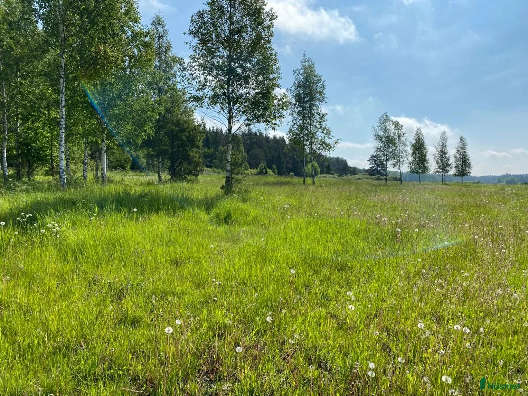  stallplats finnes: Lösdrift dräktiga ston  i Enköping - Annons 1