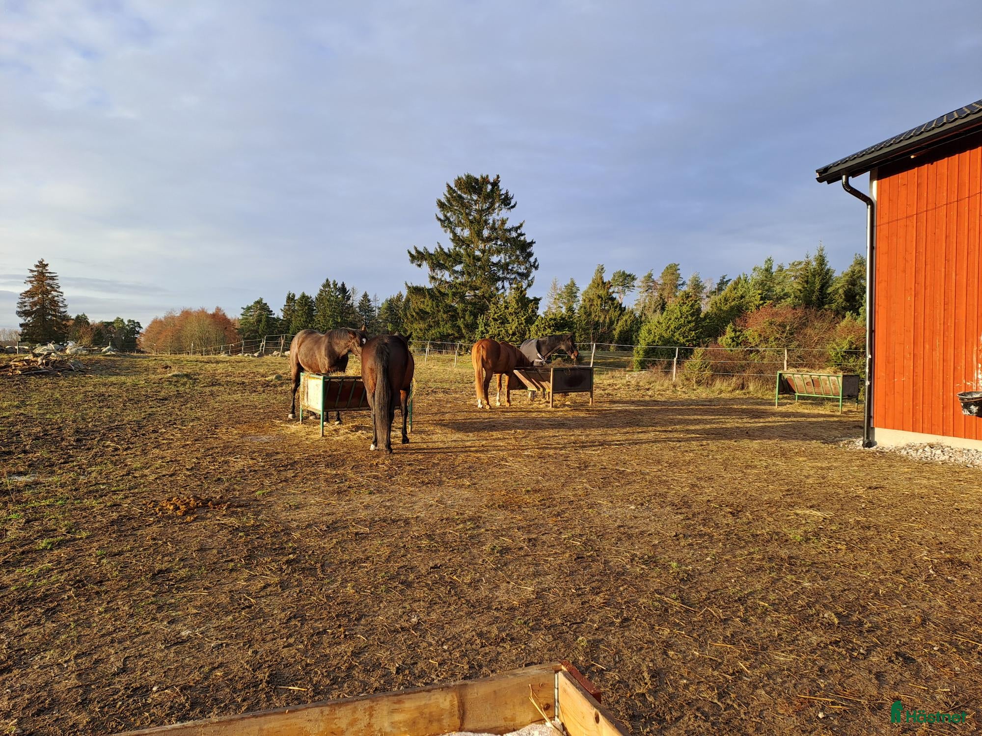  stallplats Lösdrift Häst - ung som gammal - blandflock i Bro - Annons 11
