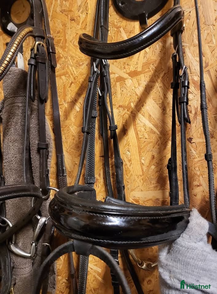 Träns hästutrustning till salu: BR Lack i Köping - Annons 22