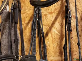 Träns hästutrustning till salu: BR Lack i Köping - Annons 1