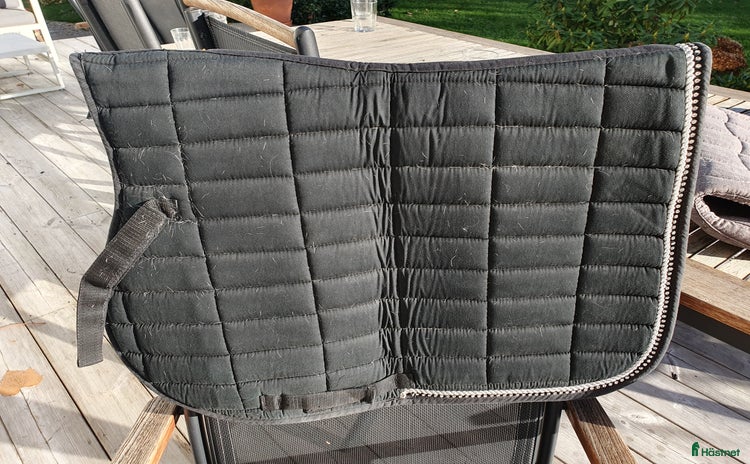 Schabrak & Vojlockar hästutrustning till salu i Trollhättan - Annons 4