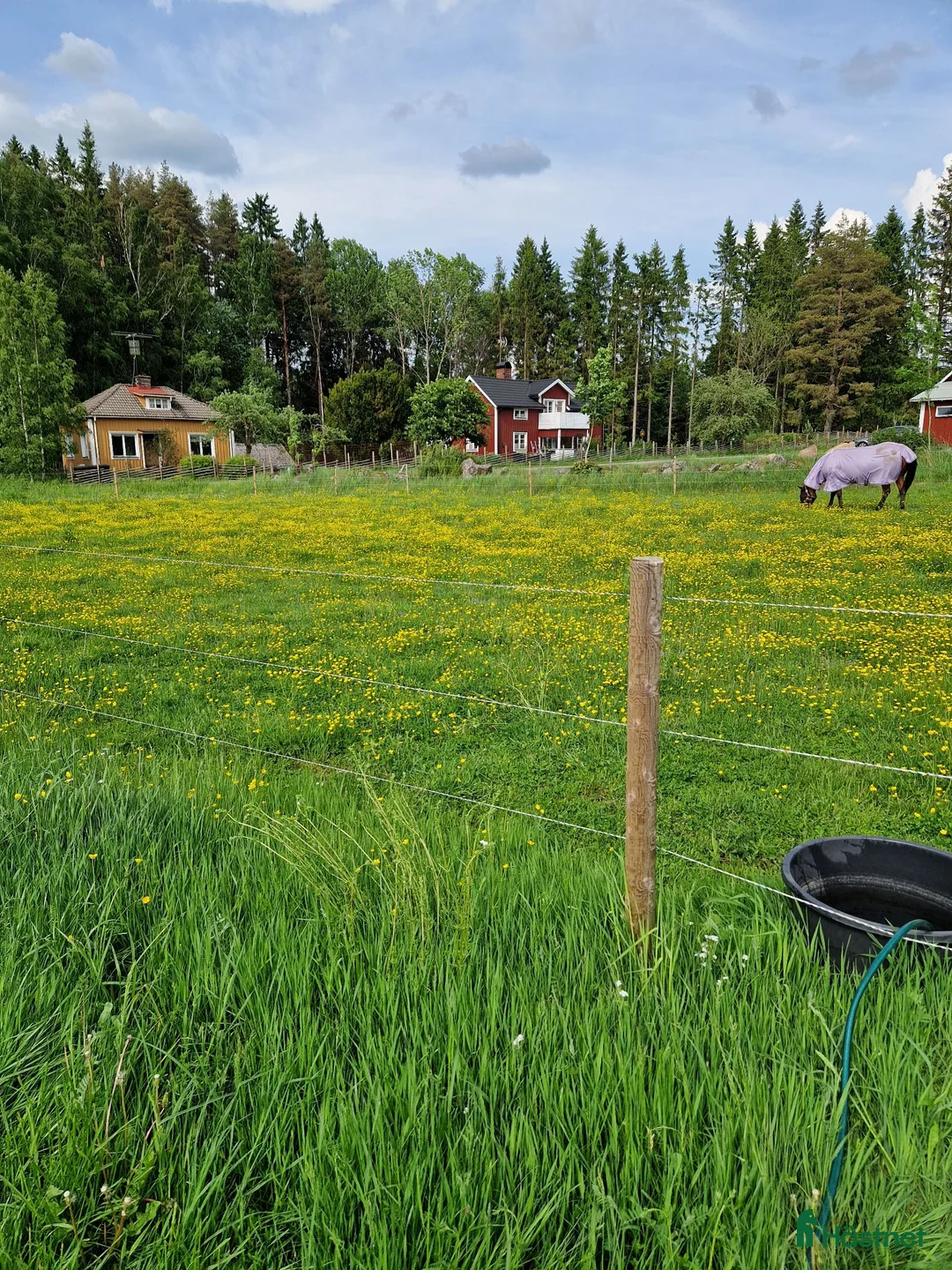  hästgårdar till salu: Litet torp med möjlighet att ha häst - Annons 2