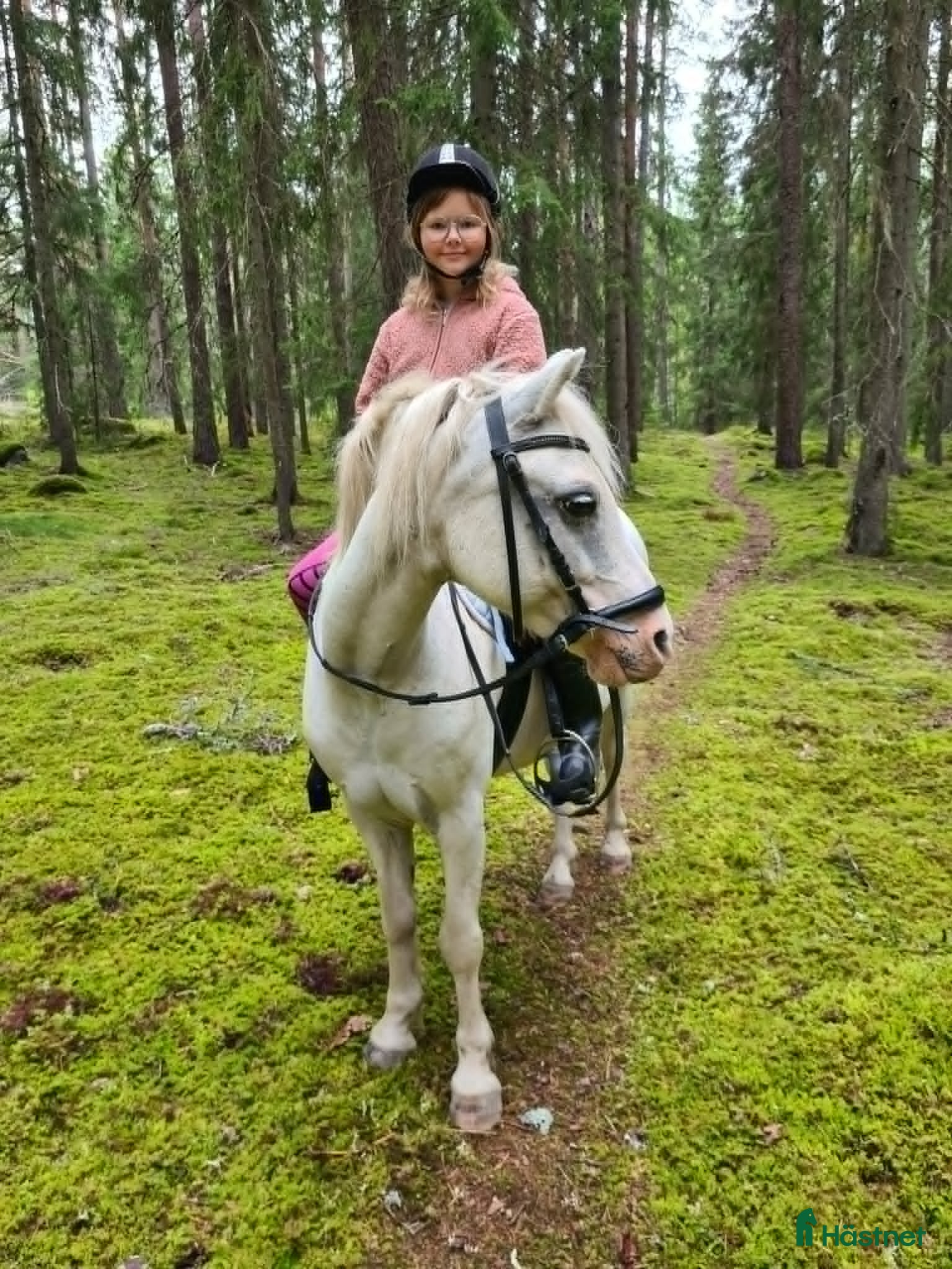  hästar Barnponny - Annons 1