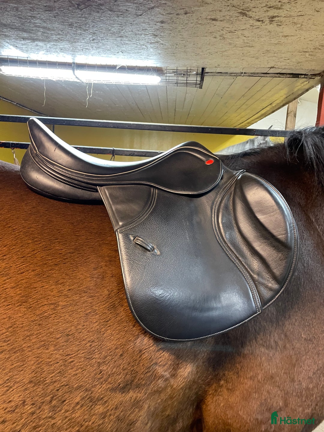 Sadlar hästutrustning till salu: Svart Whitaker Overton Hoppsadel SÄNKT PRIS i Herrljunga - Annons 2