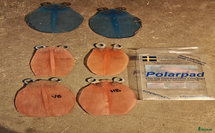 Övrig Hästutrustning hästutrustning till salu i Skänninge - Annons 18