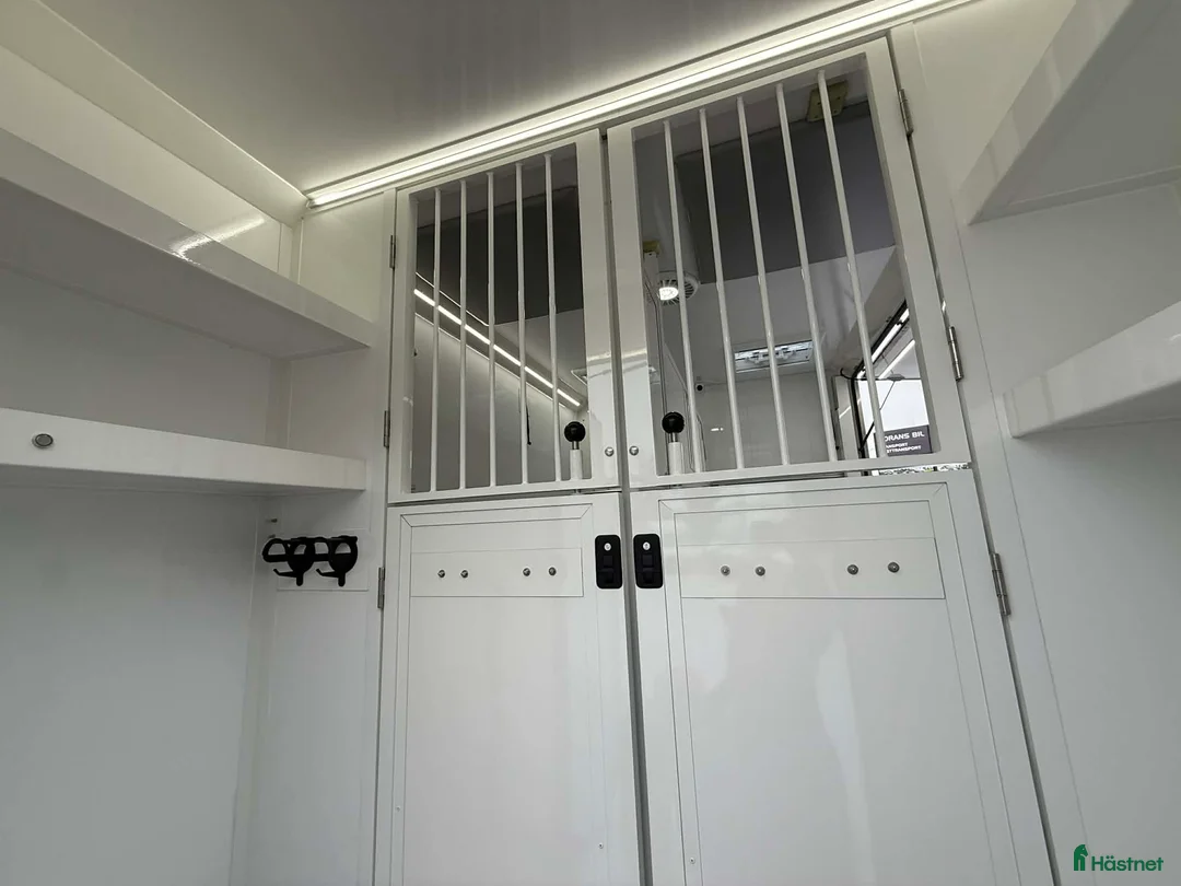 Hästlastbilar  fordon & transport till salu: HÄSTLASTBIL NORDIC HORSE 5 STUTERI *HÖG LASTVIKT* i Köping - Annons 9