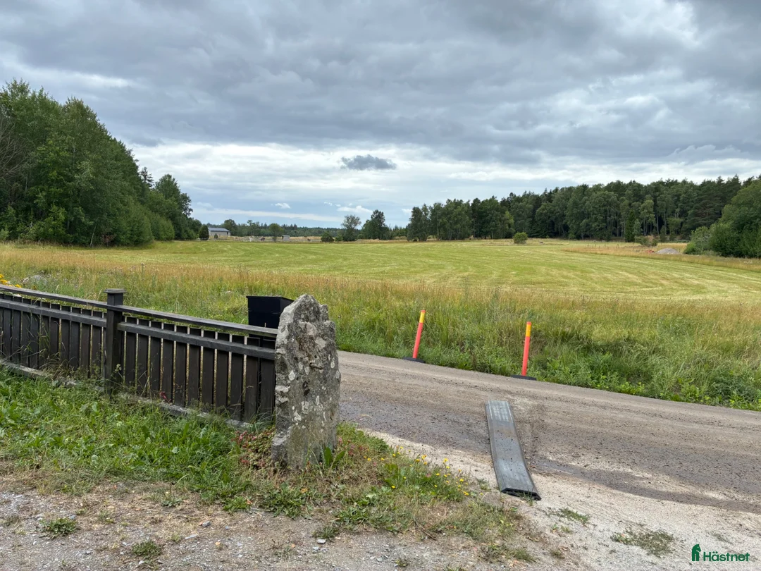 stallplats finnes: Lösdrift för ponny utanför Märsta  i Märsta - Annons 9