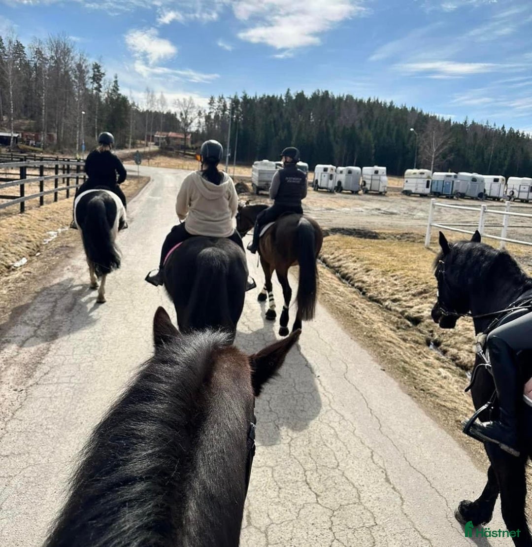  stallplats finnes: Uteboxar i forshaga i Forshaga - Annons 4