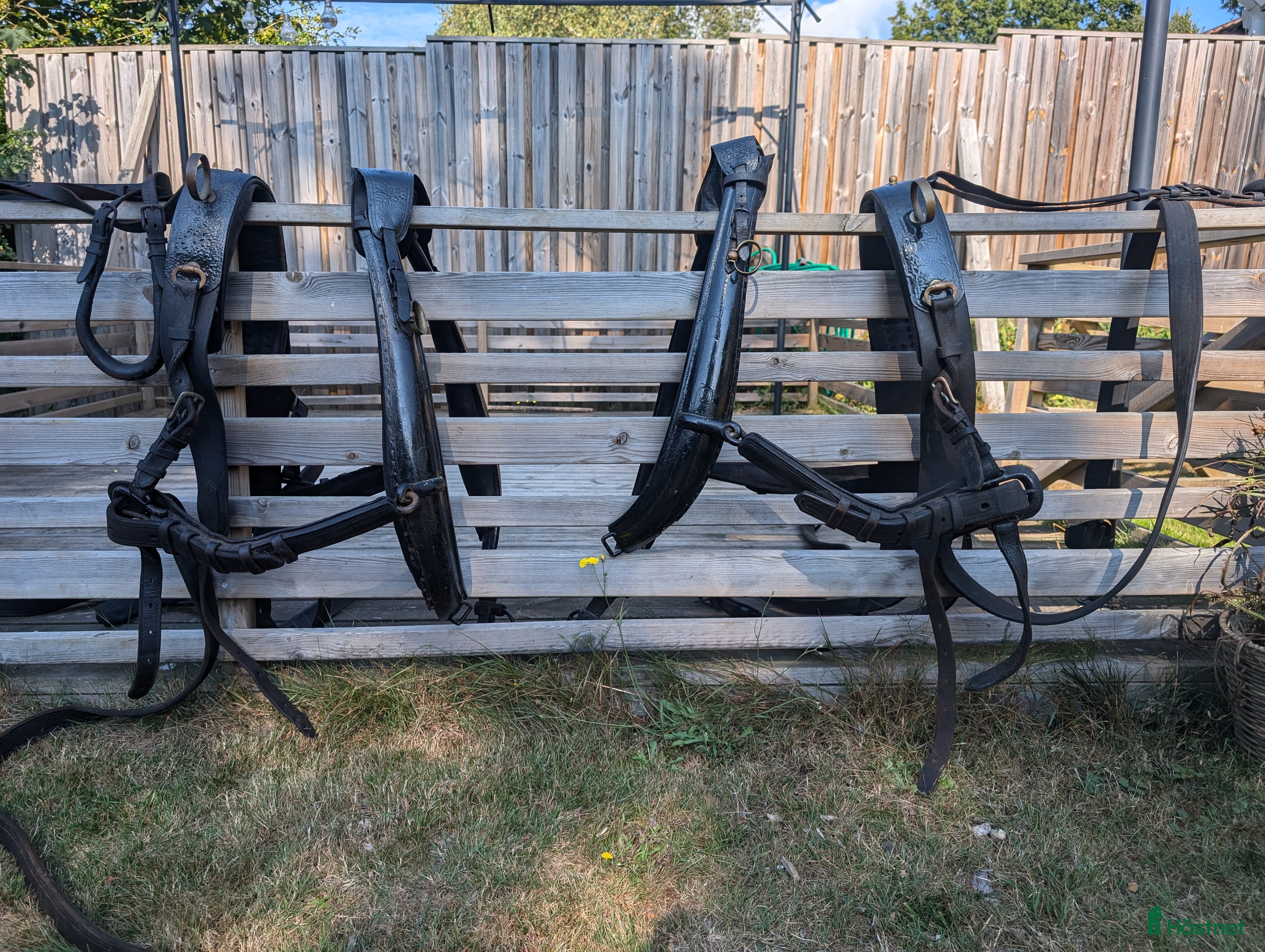 Körselar körning till salu: Parsele  i Höör - Annons 2