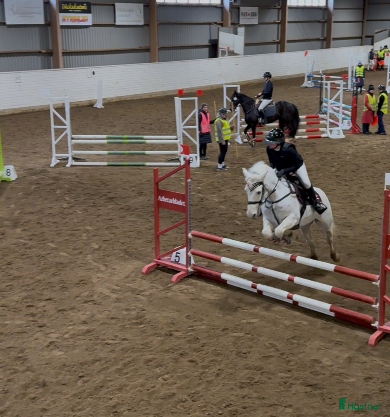  hästar Söker D-ponny 🌸🐴 - Annons 6