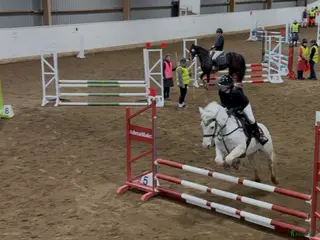 hästar Söker D-ponny 🌸🐴 - Annons 6