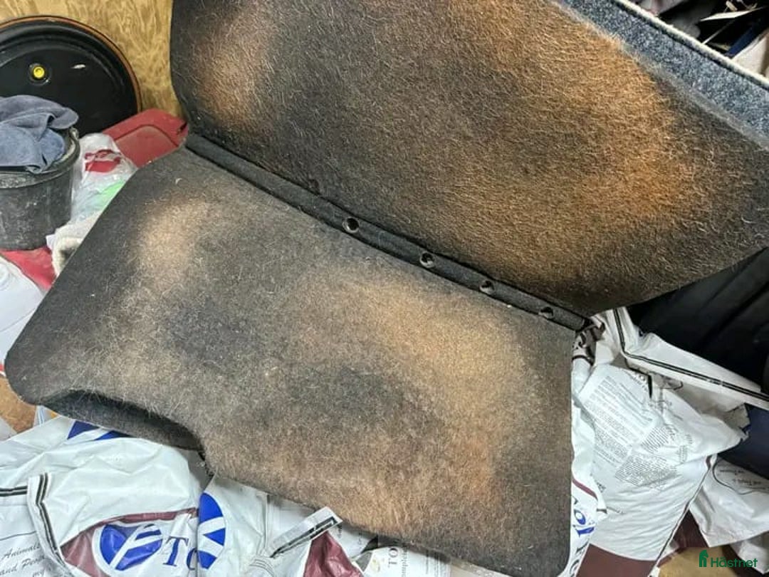 Schabrak & Vojlockar hästutrustning till salu: CSI SADDLE PAD i Köpenhamn - Annons 3