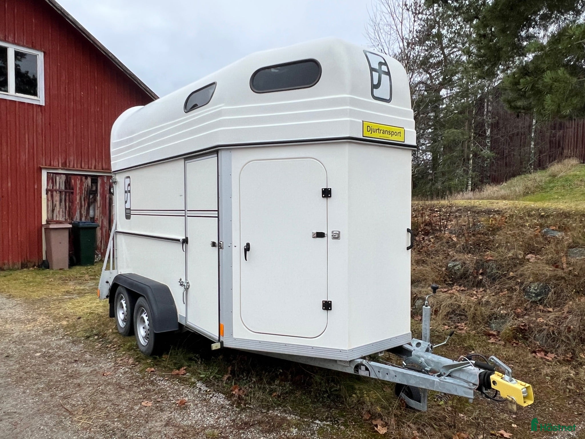 Hästtransporter  fordon & transport till salu: Forzab Futuro SEH20 2019 - Annons 14