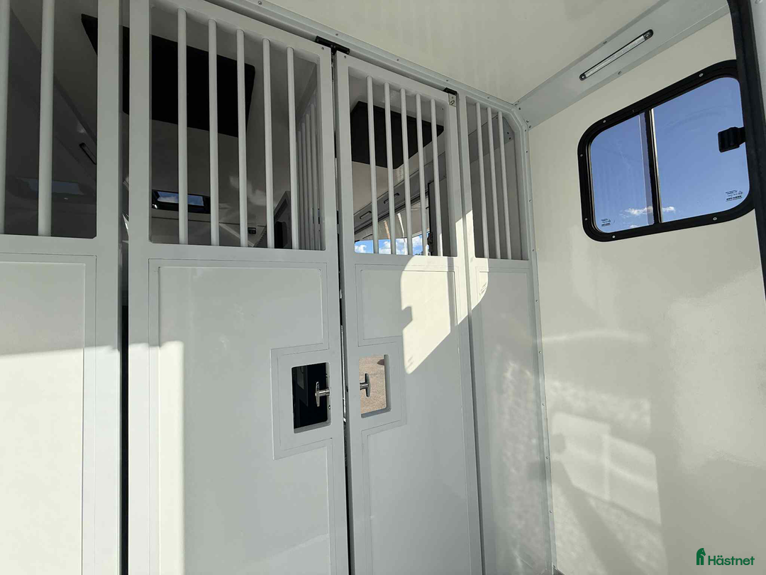 Hästlastbilar  fordon & transport till salu: KAMPANJ NORSIC HORSE 5 STUTERI *HÖG LASTVIKT* i Köping - Annons 10