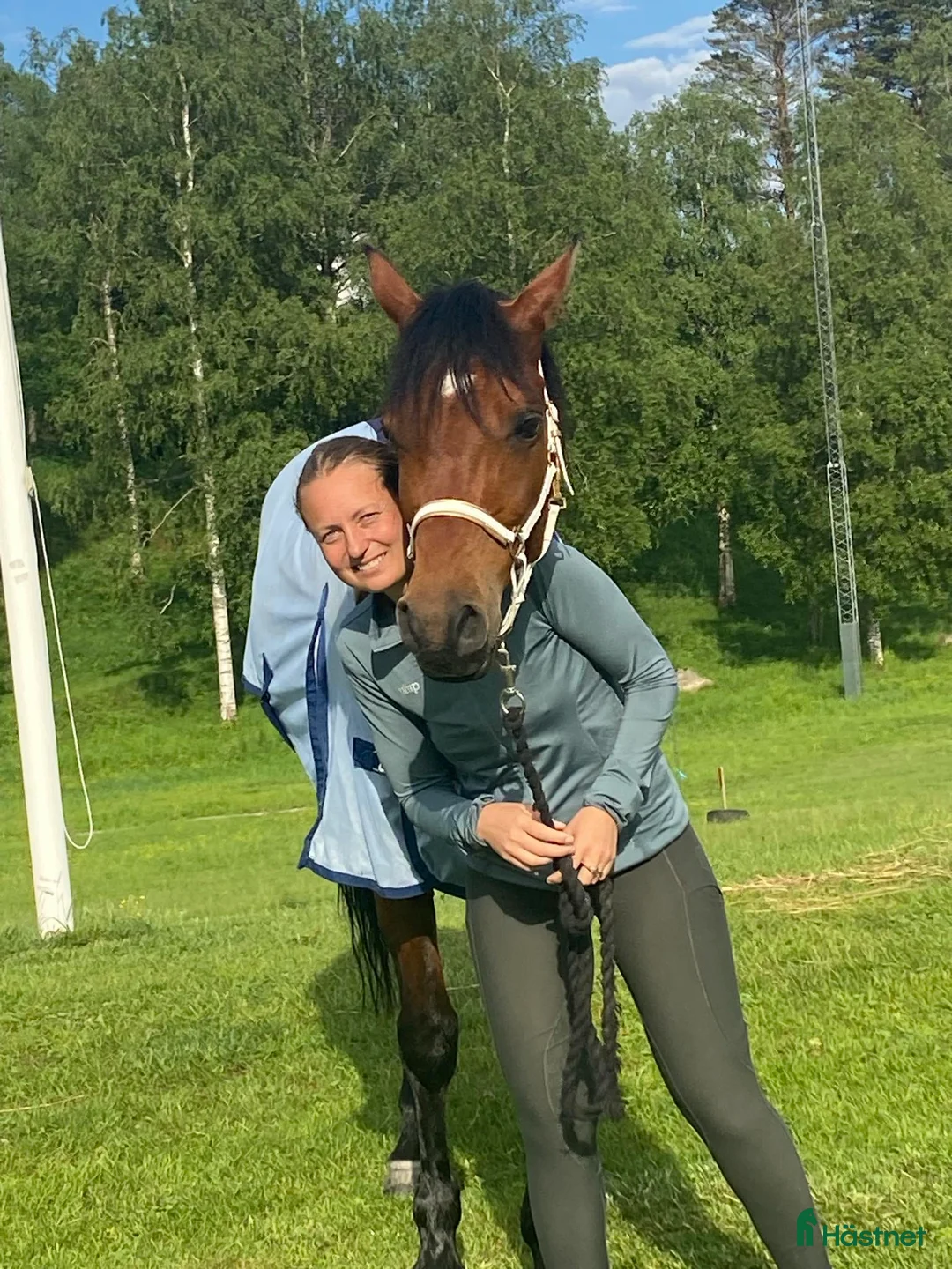 Galleribild {{count}}