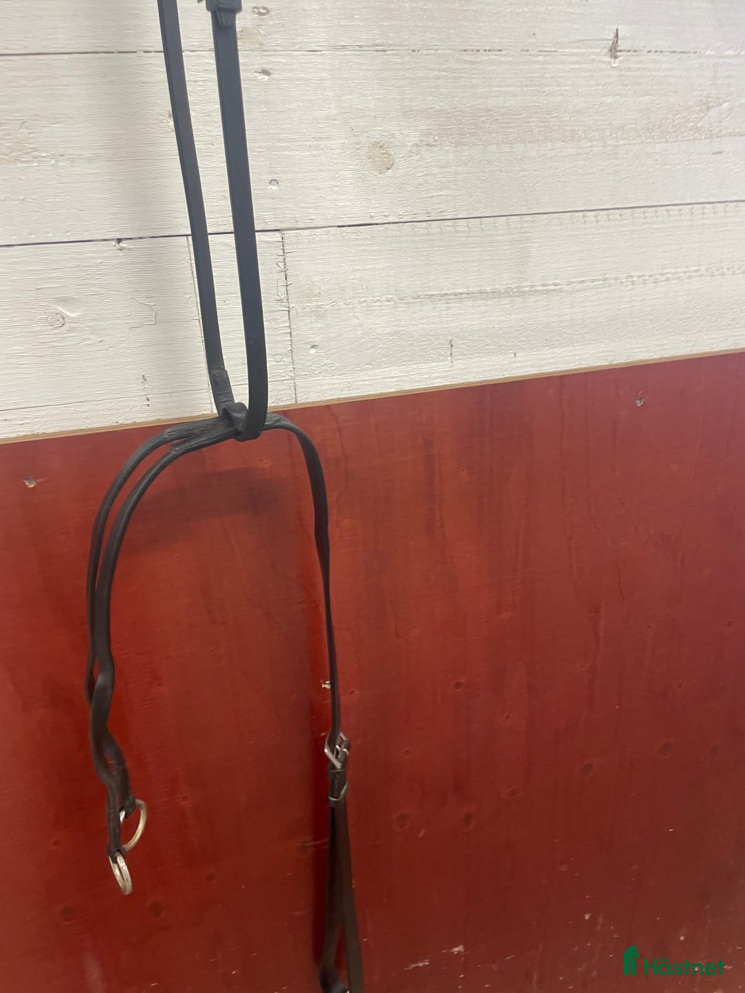 Övrig Hästutrustning hästutrustning till salu: Martingall i Lekeryd - Annons 1