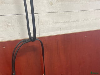 Övrig Hästutrustning hästutrustning till salu: Martingall i Lekeryd - Annons 3