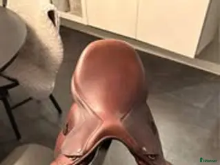 Sadlar hästutrustning Antares profine hoppsadel - Annons 4